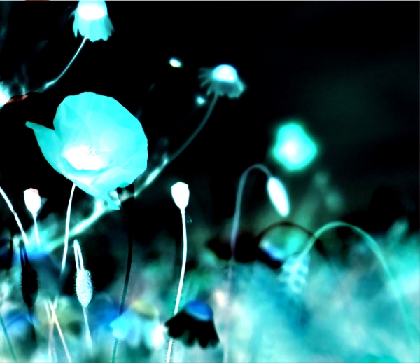Creation of Poppy Fairy: Step 3